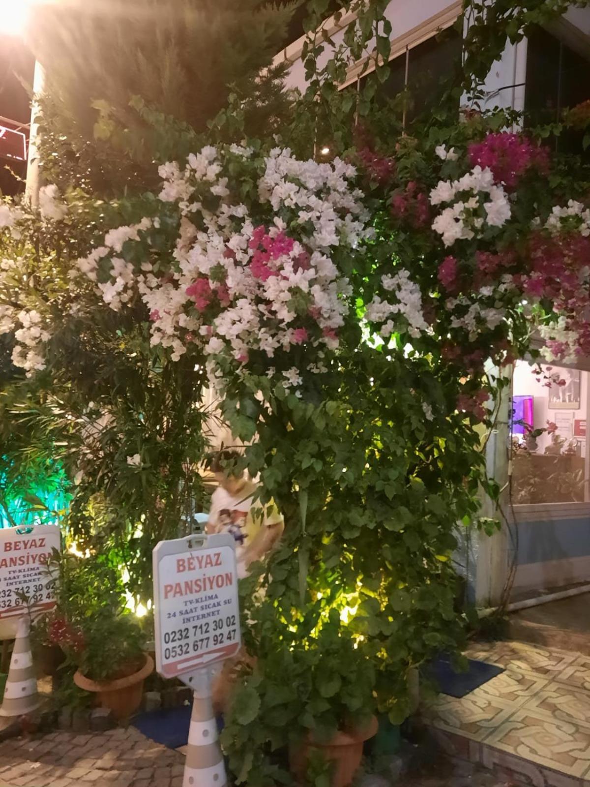 Beyaz Apart Pansiyon Çeşme Dış mekan fotoğraf